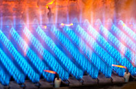 Bosleake gas fired boilers